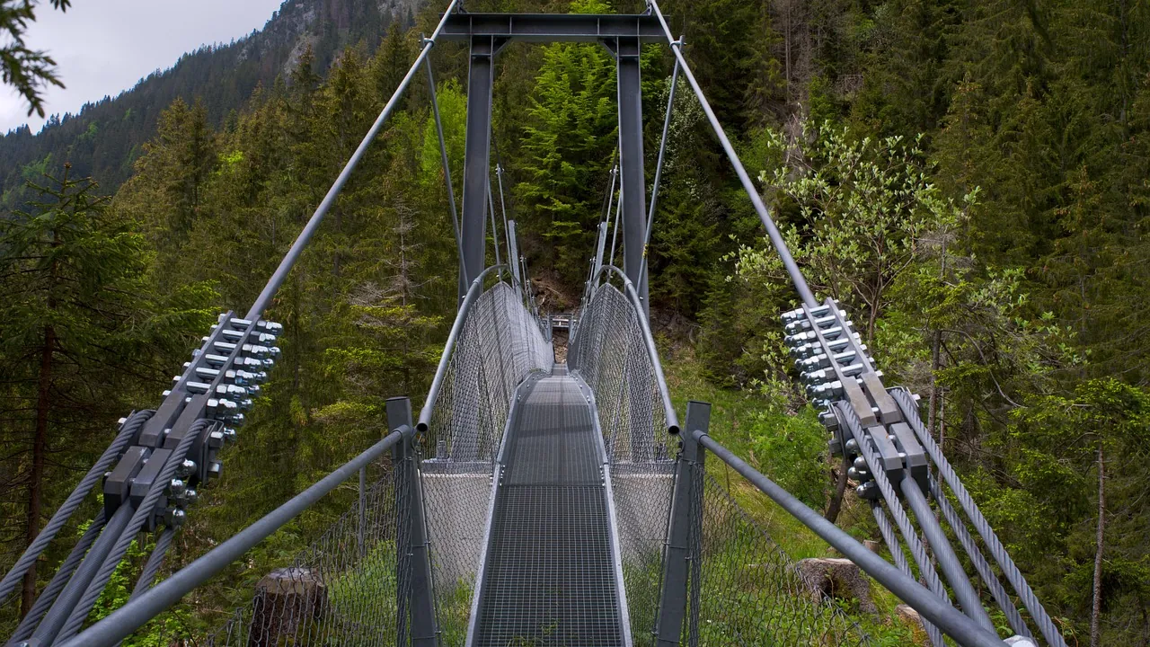 Passerelle suspendue au-dessus d’une forêt de montagne
