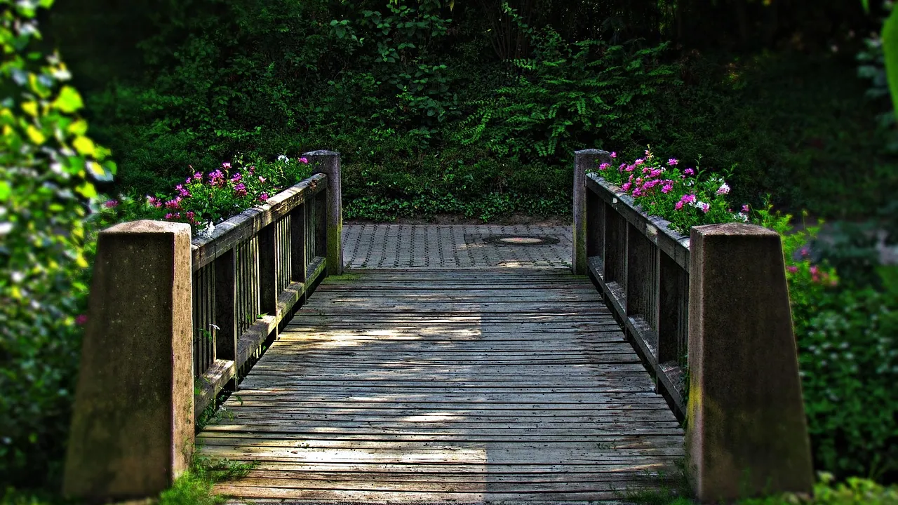 Passerelle en bois fleurie à l’entrée d’un sous-bois